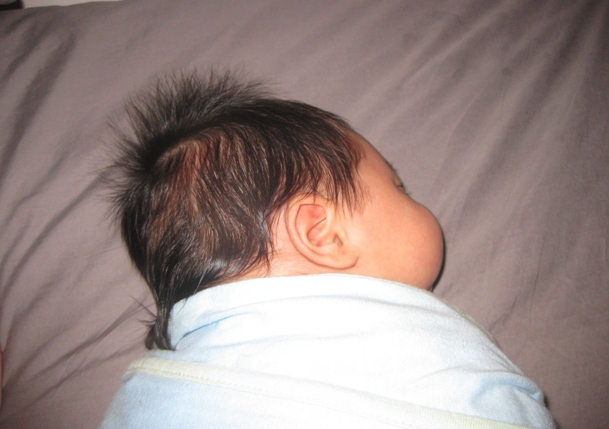 It seemed an unlikely combination to be found in nature, but here it is: the baby fauxhawk-mullet.